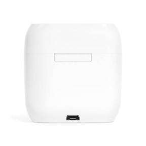 Past Master Blue Lodge Earbud - White - Bricks Masons